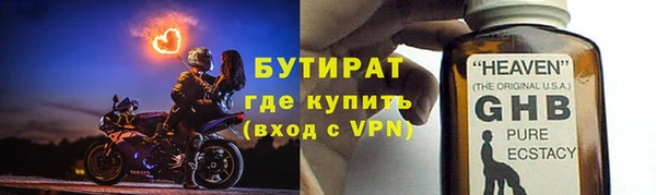 прущие грибы Сатка