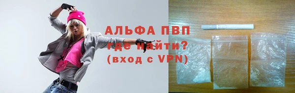 прущие грибы Сатка