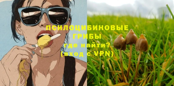 ECSTASY Новоуральск