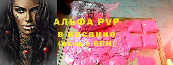 прущие грибы Сатка