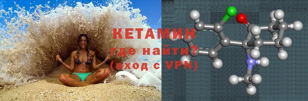 прущие грибы Сатка