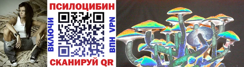 Псилоцибиновые грибы Magic Shrooms  как найти наркотики  Снежногорск 